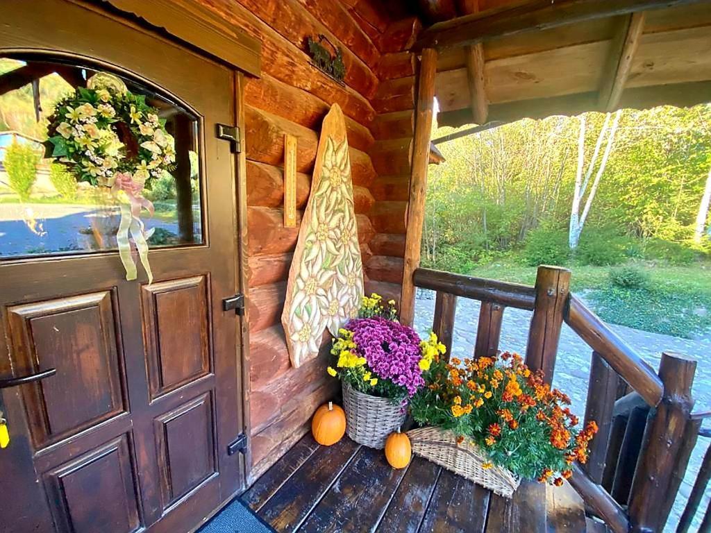 Cabana Vanatorului Râșnov Zewnętrze zdjęcie