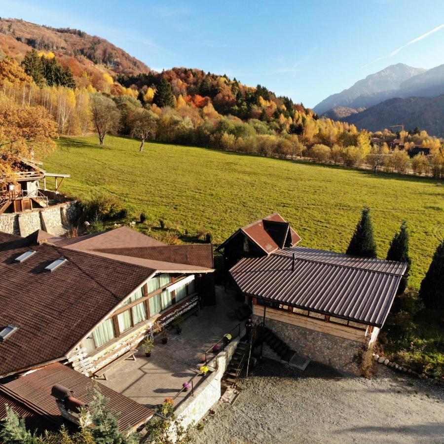 Cabana Vanatorului Râșnov Zewnętrze zdjęcie