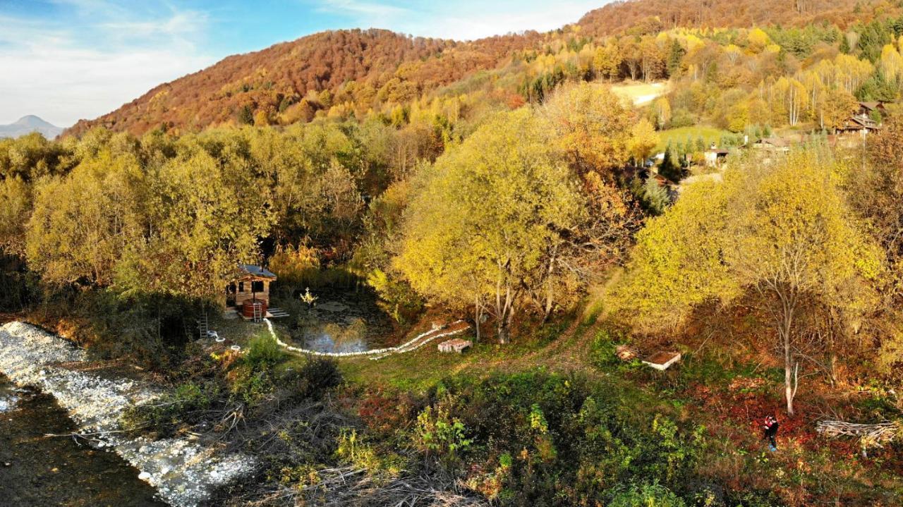 Cabana Vanatorului Râșnov Zewnętrze zdjęcie