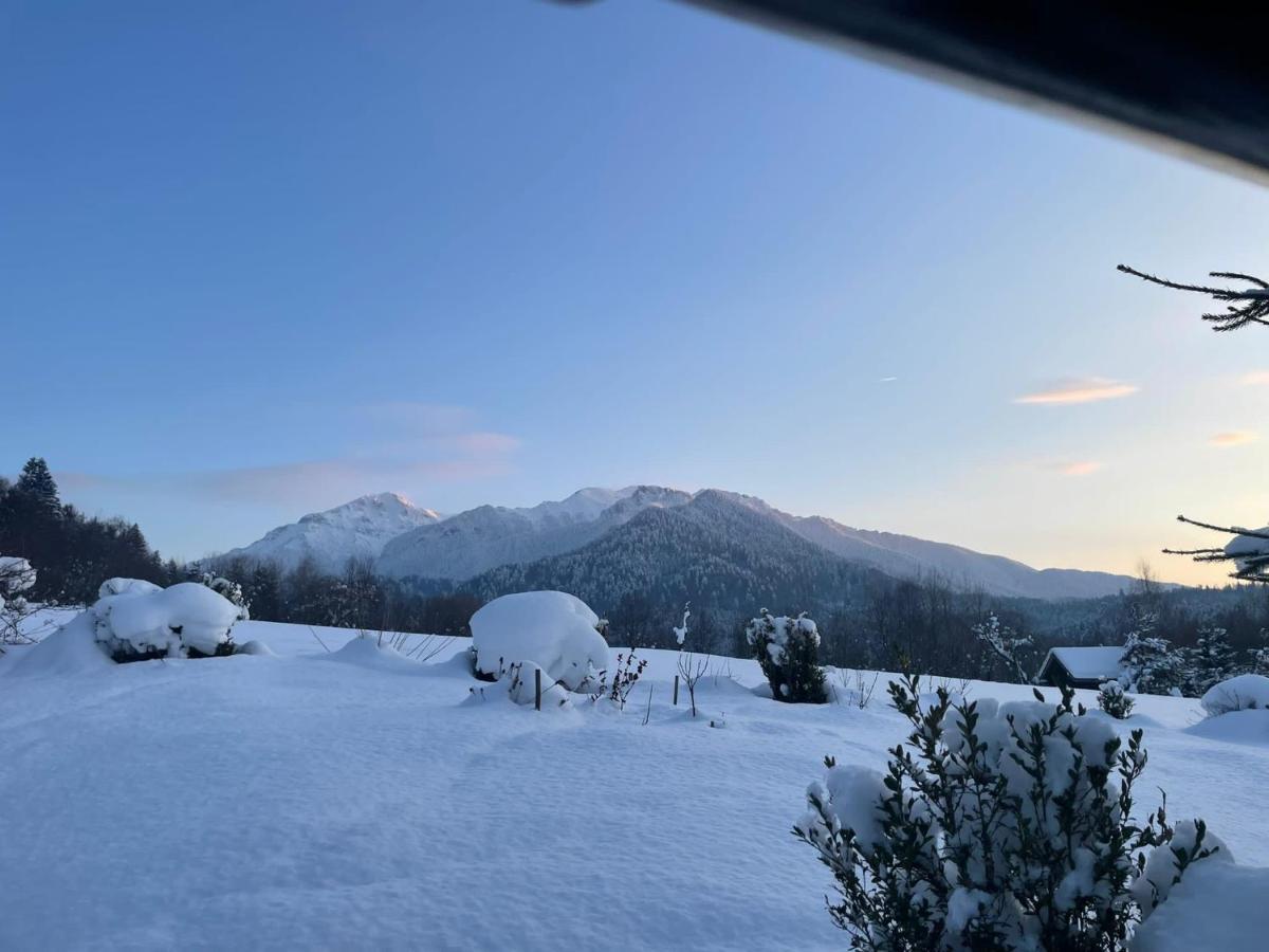 Cabana Vanatorului Râșnov Zewnętrze zdjęcie