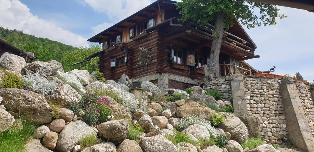 Cabana Vanatorului Râșnov Zewnętrze zdjęcie
